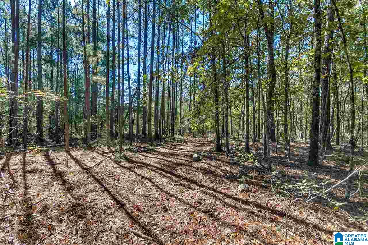 384 Wolf Pond Road, Unit 1 Talladega, AL 35160 - Photo 12 of 26