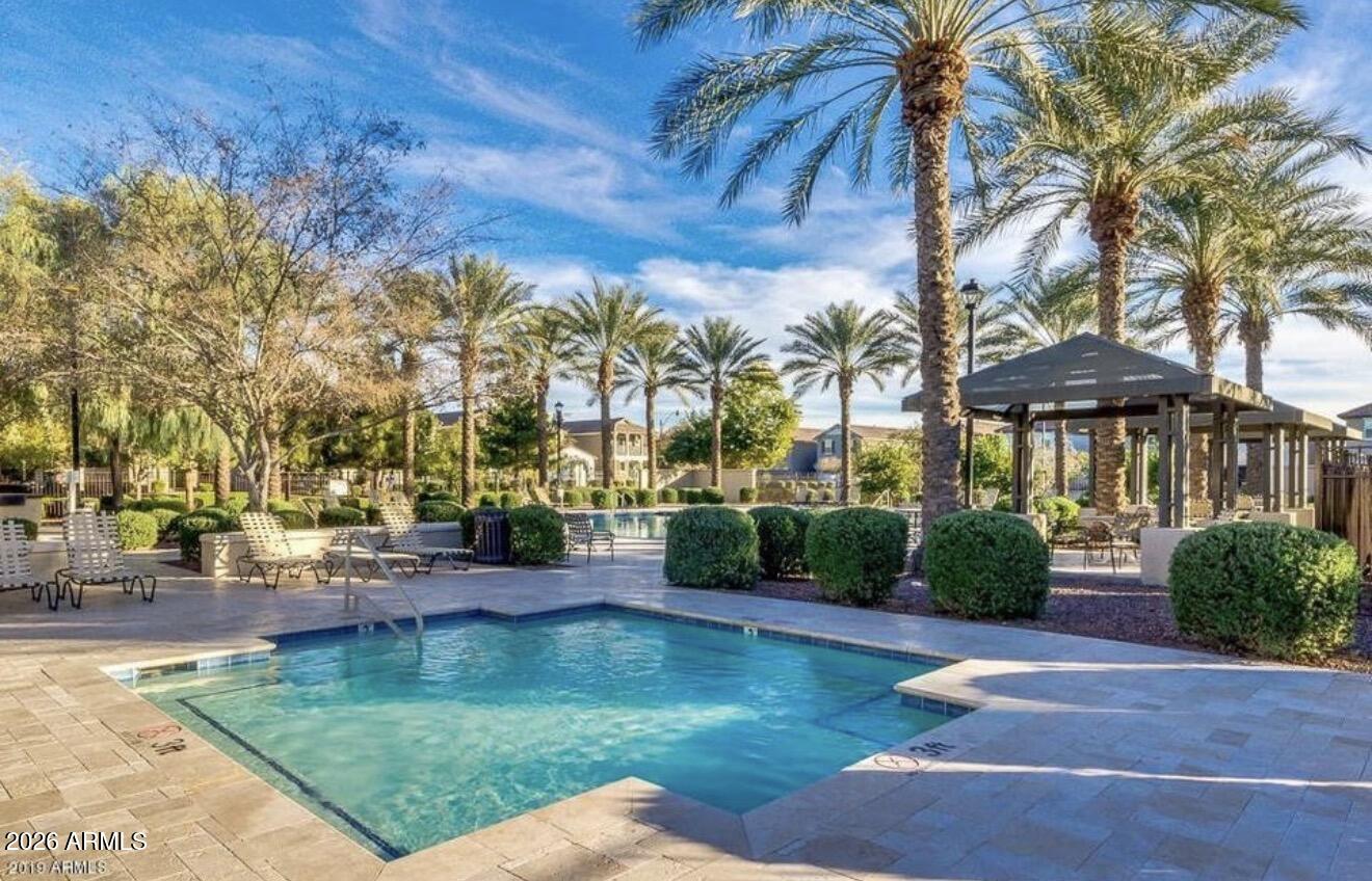 955 South Henry Lane Gilbert, AZ 85296 - Photo 38 of 40 a view of a yard with plants and trees