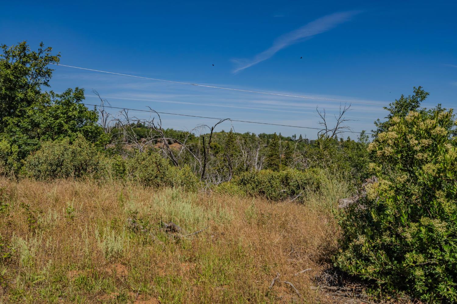 7256 Nikki Mountain Ranch Mountain Ranch, CA 95246 - Photo 21 of 27