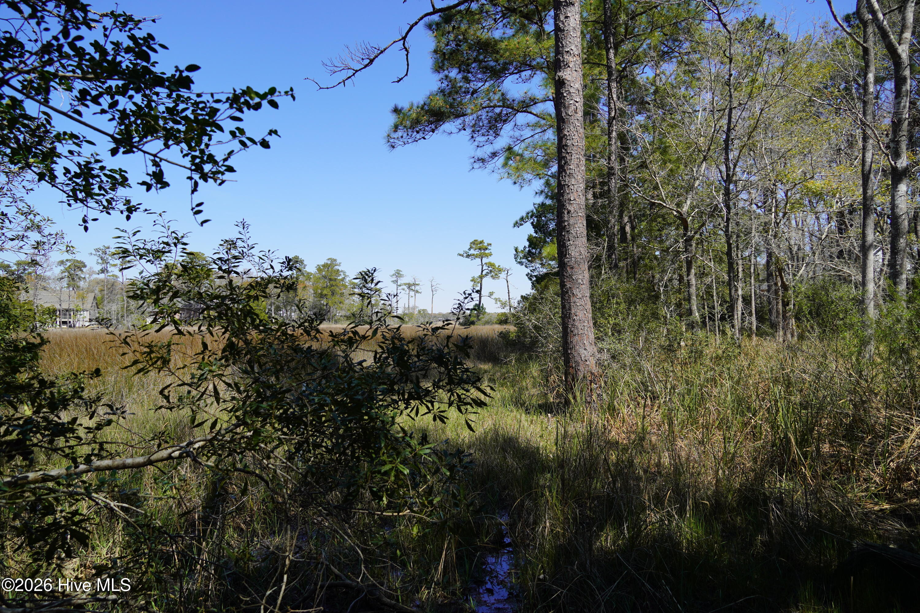 246 Genoe's Point Road Southwest Supply, NC 28462 - Photo 13 of 20 DSC00843