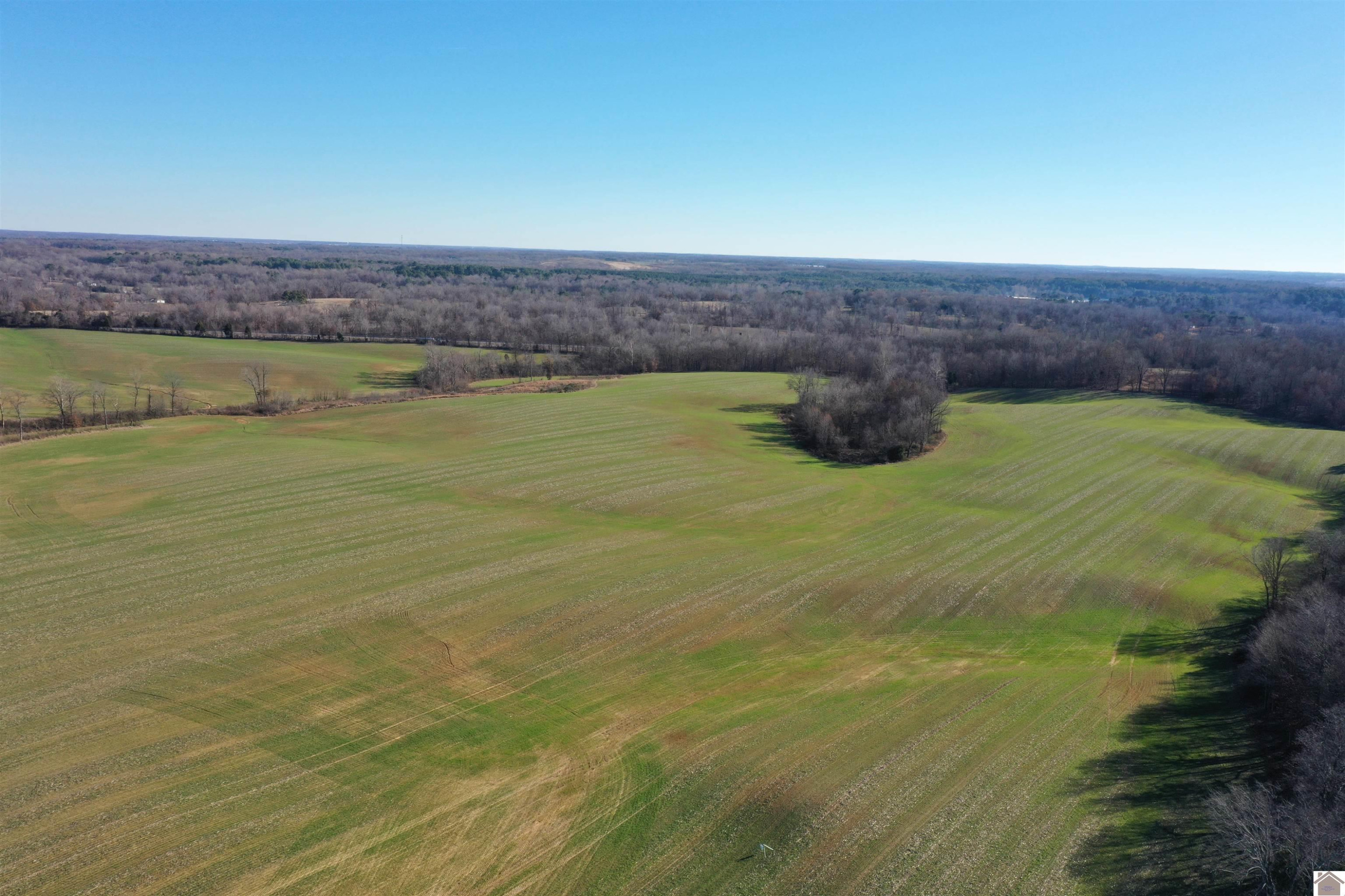 2323 Cardinal Road Mayfield, KY 42066 - Photo 21 of 23 Photo 21