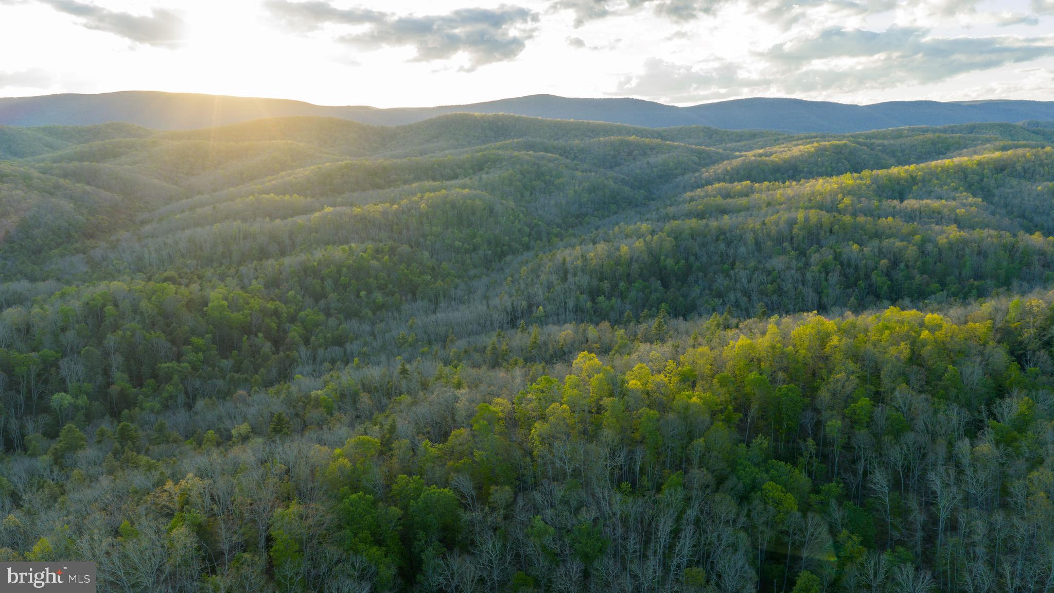 199 Green Bank Road Arbovale, WV 24915 - Photo 8 of 113