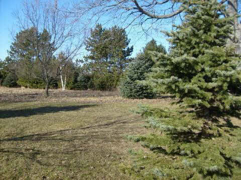 10045 Yale Road Avoca, MI 48006 - Photo 10 of 12 942775-9.JPG