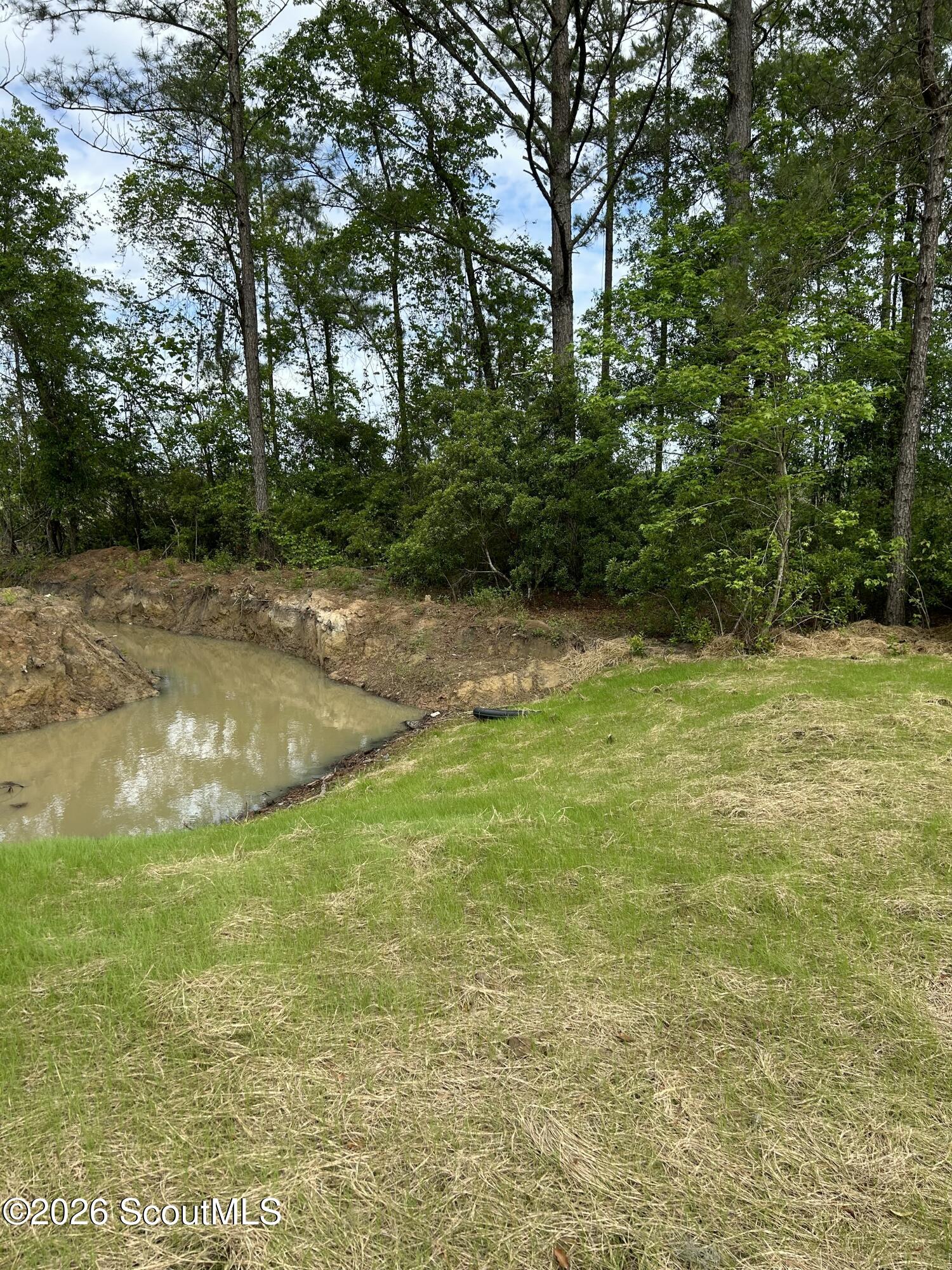 9771 Cox Road Southwest Townsend, GA 31331 - Photo 8 of 8 IMG_0220_1353c561-fa89-4d76-bd97-06f1b38