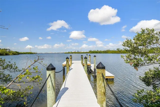 $3,350 | 4565 Tuscan Loon Drive, Tampa, FL 33619