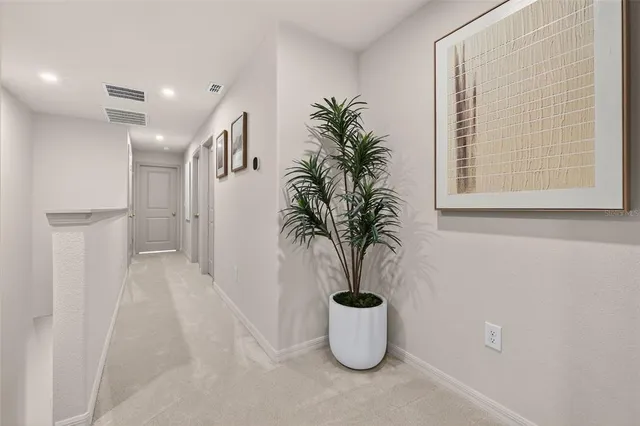 $3,350 | 4565 Tuscan Loon Drive, Tampa, FL 33619