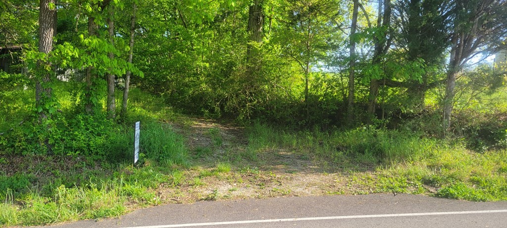 0 Maple Hill Road Loudon, TN 37774 - Photo 3 of 13