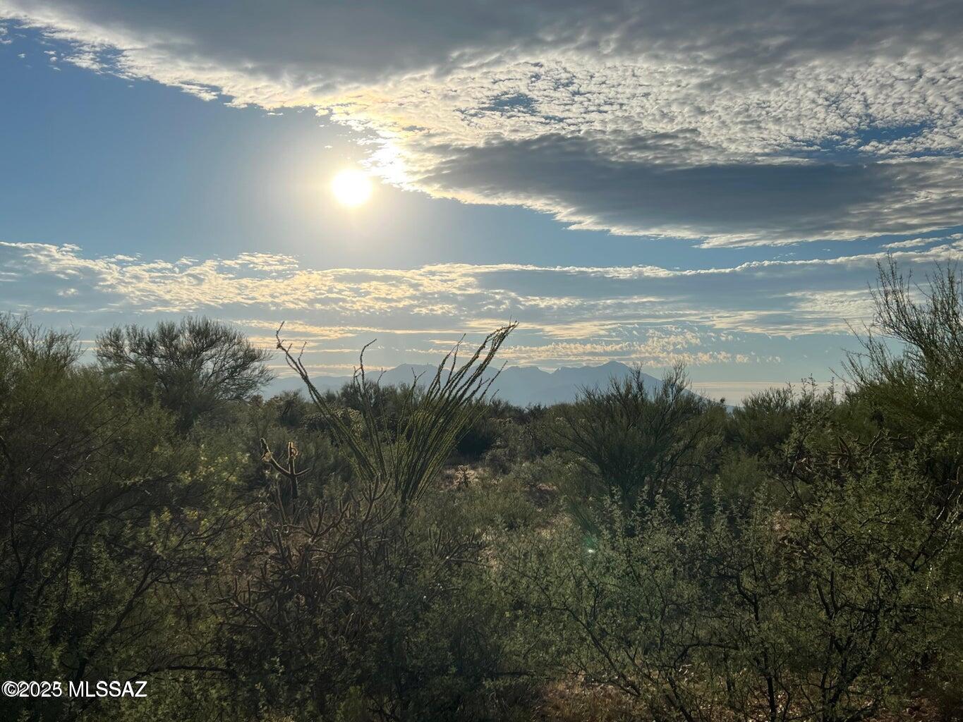 15966 West Phillips Road, Unit 270 Tucson, AZ 85736 - Photo 1 of 17 Gallery Image 1