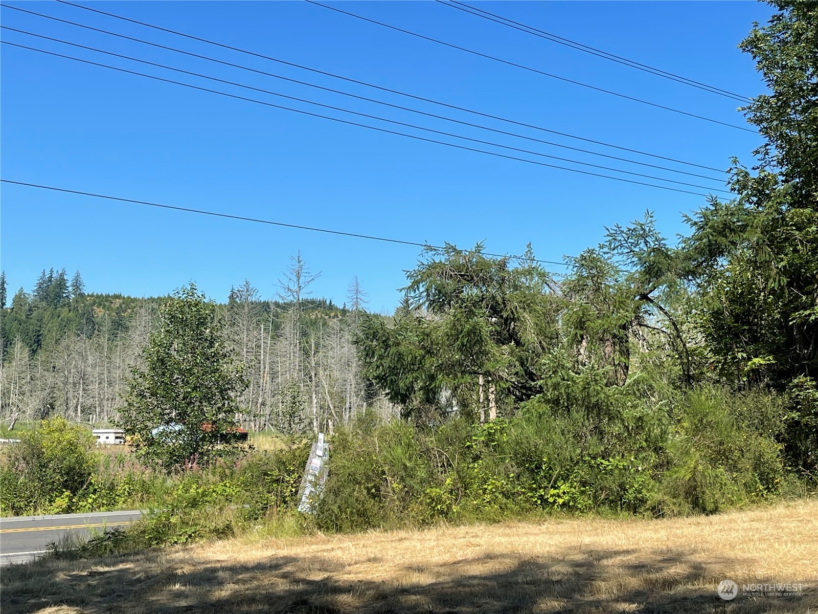 0 Beaver Valley Road Port Ludlow, WA 98365 - Photo 3 of 9