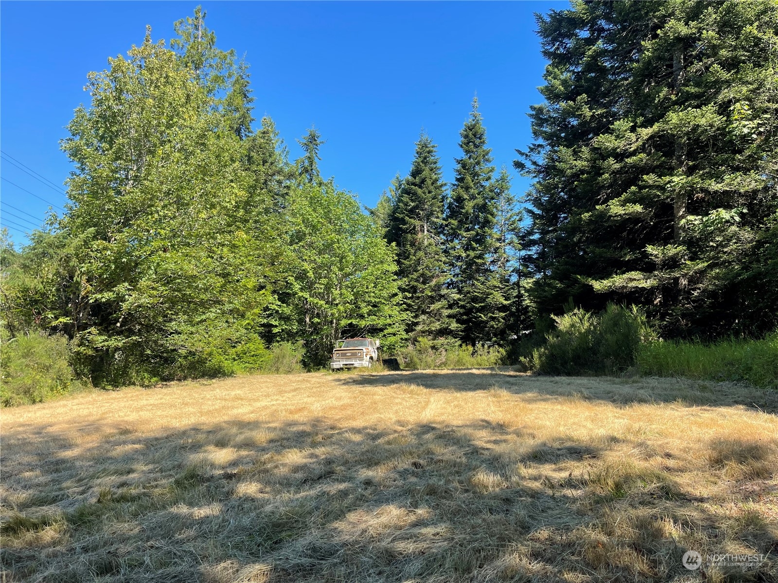 0 Beaver Valley Road Port Ludlow, WA 98365 - Photo 8 of 9