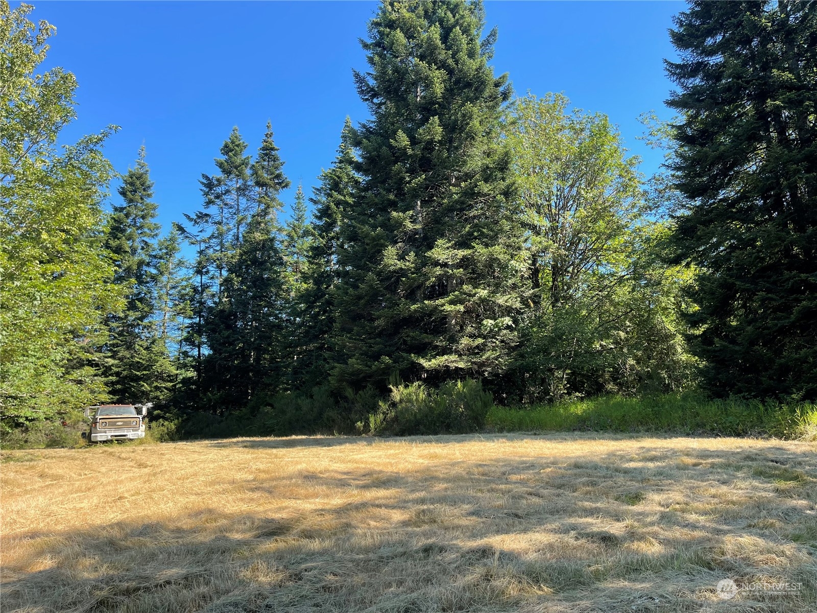 0 Beaver Valley Road Port Ludlow, WA 98365 - Photo 9 of 9
