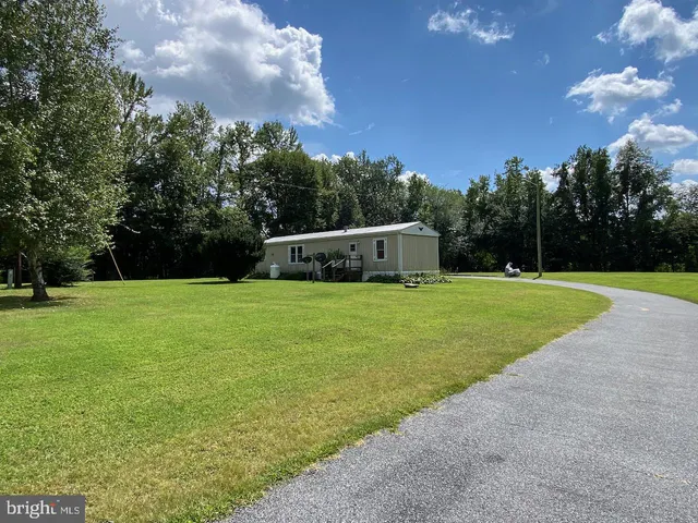a view of garden with trees