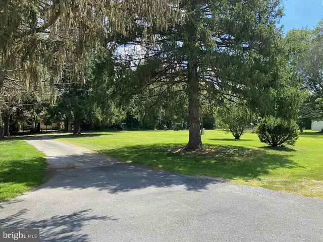 a view of a yard with a tree