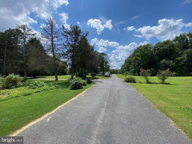 a view of a park with large trees