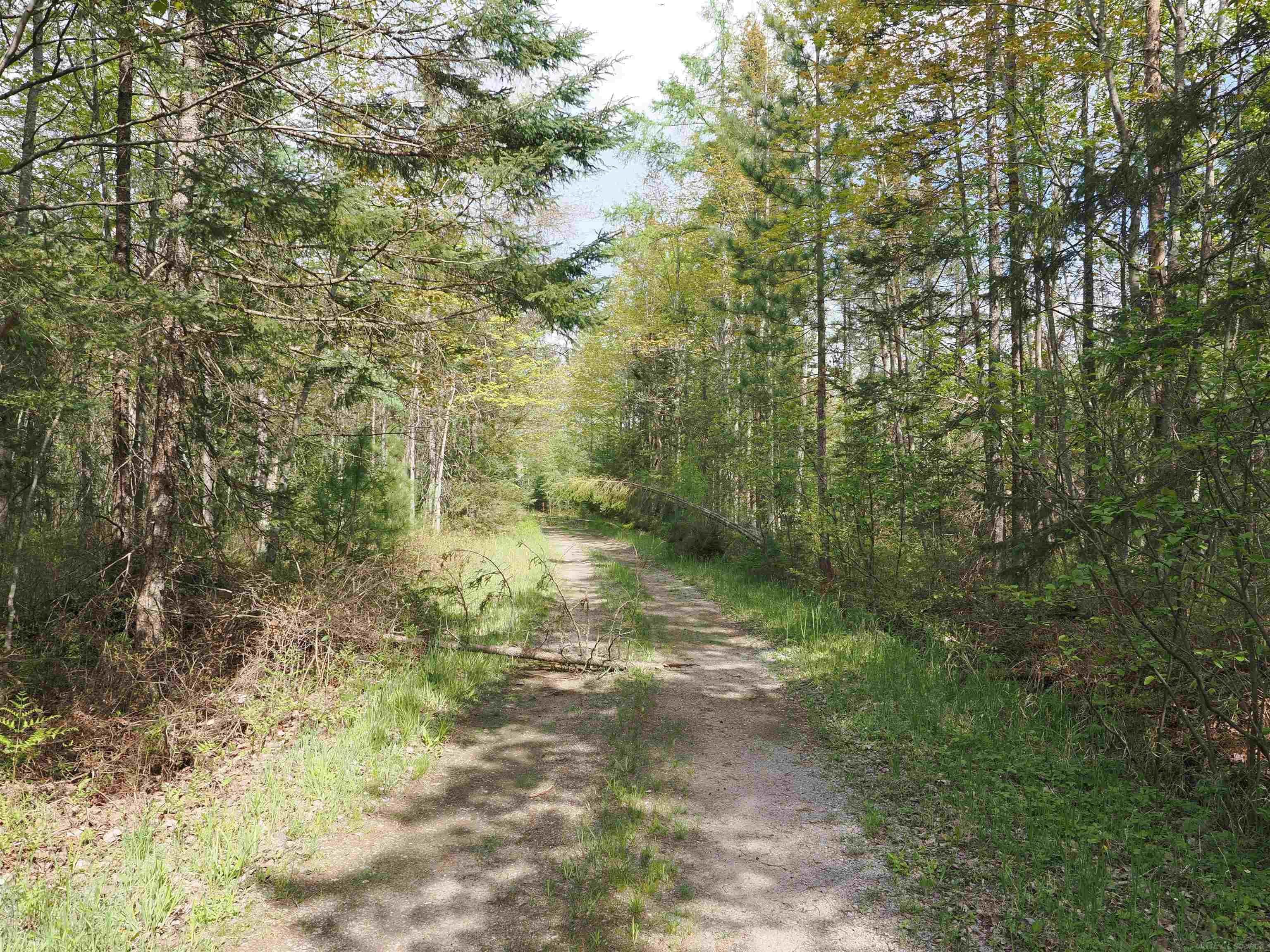 4011 Sandall Road Alpena, MI 49707 - Photo 32 of 73