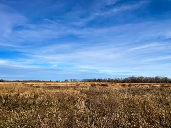$139,500 | 10 Thief River Falls, Thief River Falls, MN 56701