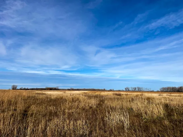 $139,500 | 10 Thief River Falls, Thief River Falls, MN 56701