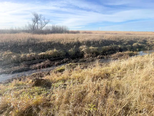 $139,500 | 10 Thief River Falls, Thief River Falls, MN 56701