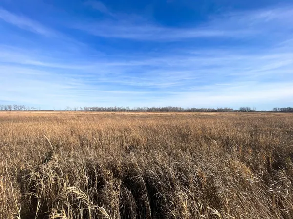 $139,500 | 10 Thief River Falls, Thief River Falls, MN 56701