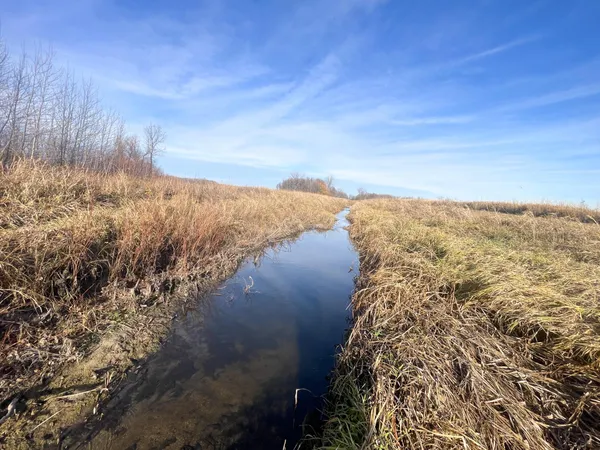 $139,500 | 10 Thief River Falls, Thief River Falls, MN 56701