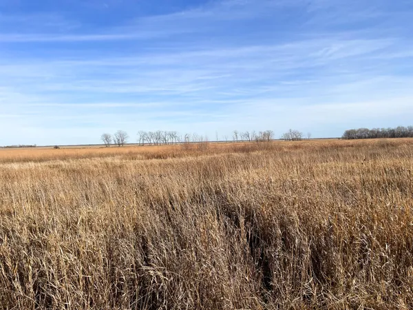 $139,500 | 10 Thief River Falls, Thief River Falls, MN 56701