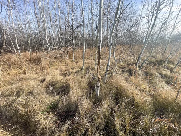 $139,500 | 10 Thief River Falls, Thief River Falls, MN 56701