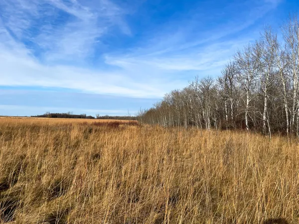 $139,500 | 10 Thief River Falls, Thief River Falls, MN 56701