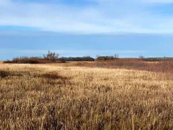 $139,500 | 10 Thief River Falls, Thief River Falls, MN 56701