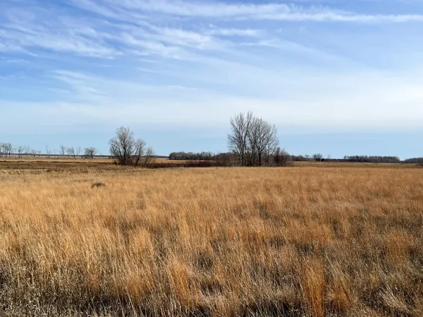 $139,500 | 10 Thief River Falls, Thief River Falls, MN 56701