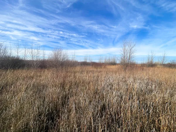 $139,500 | 10 Thief River Falls, Thief River Falls, MN 56701