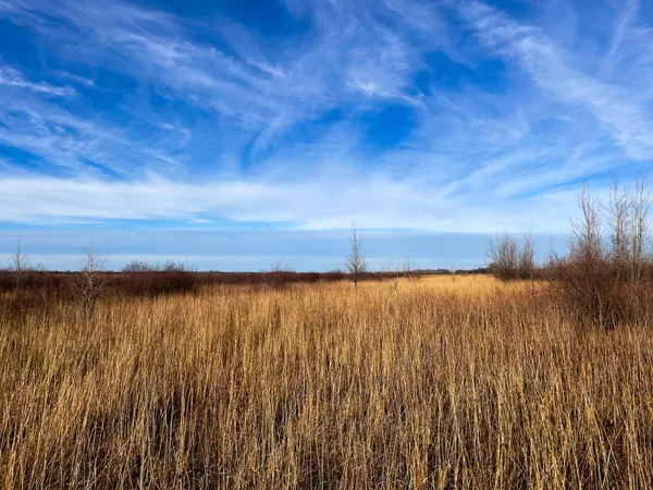 $139,500 | 10 Thief River Falls, Thief River Falls, MN 56701