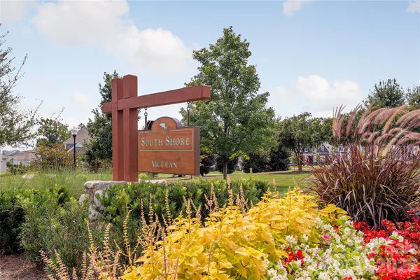 a view of a backyard with potted plants and large trees