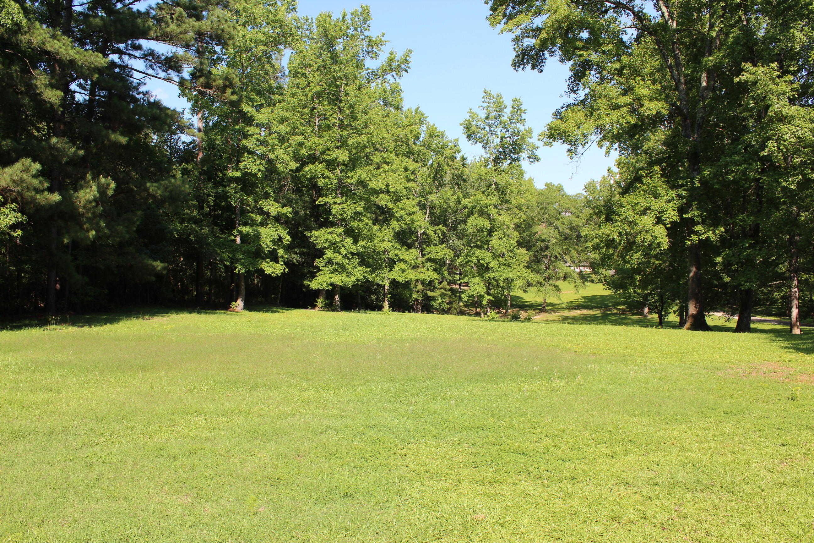 107 Spring Extension Rockingham, NC 28379 - Photo 4 of 55 3. IMG_3765
