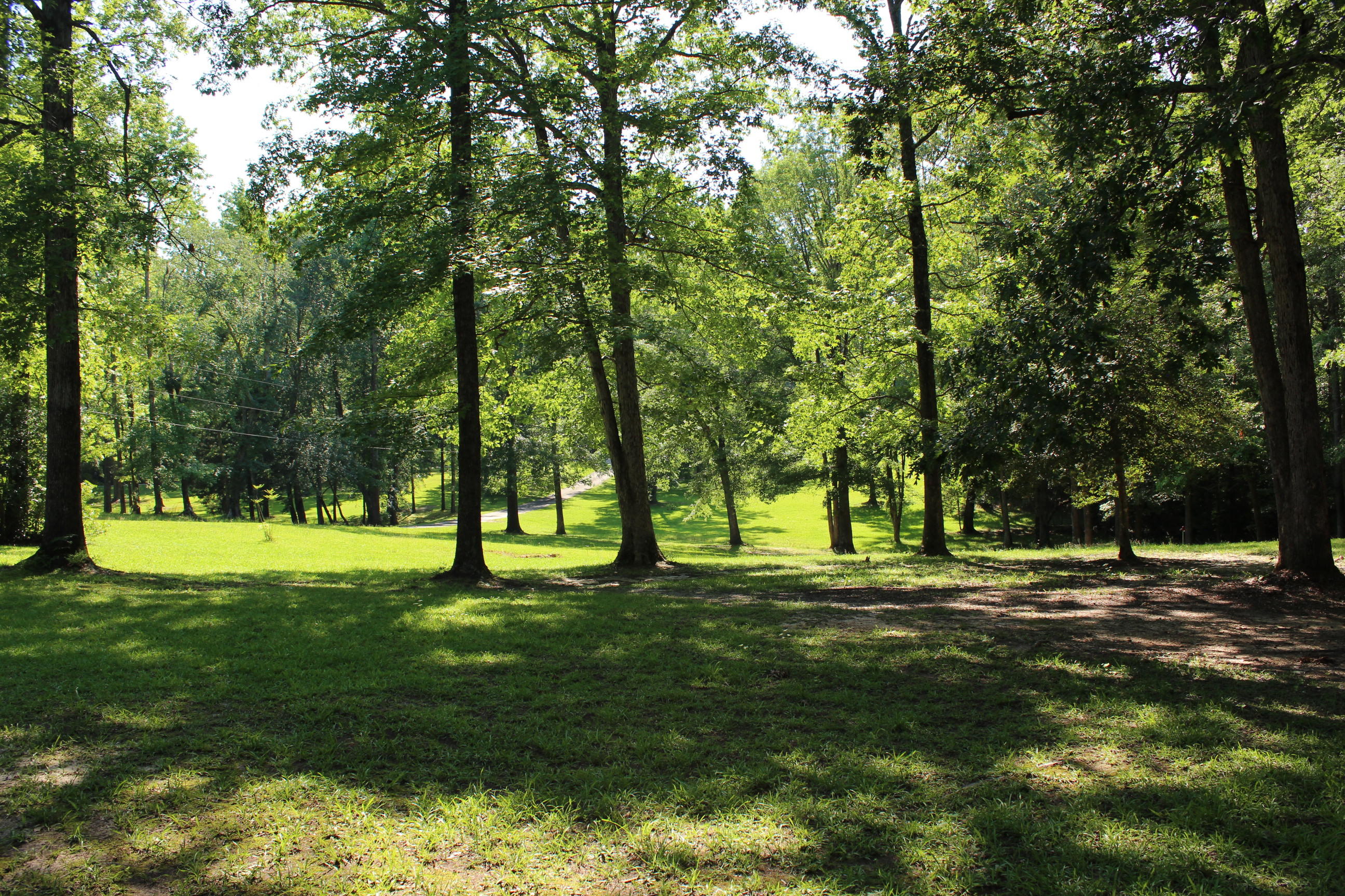 107 Spring Extension Rockingham, NC 28379 - Photo 10 of 55 9. IMG_3776