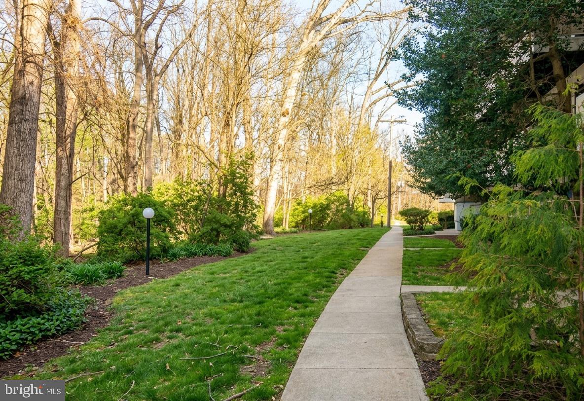7548 Spring Lake Drive, Unit A Bethesda, MD 20817 - Photo 16 of 23 a view of a park with large trees