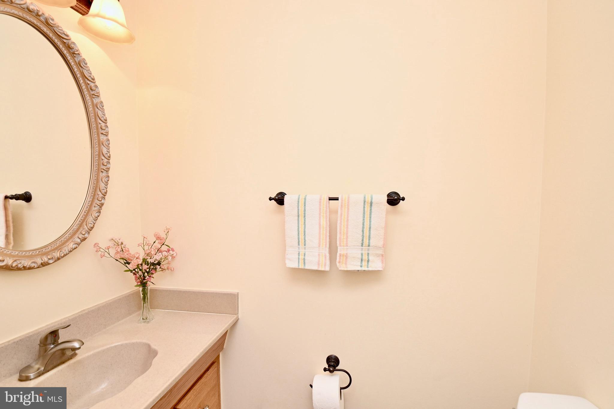 8113 Winter Blue Court Springfield, VA 22153 - Photo 20 of 58 Powder room