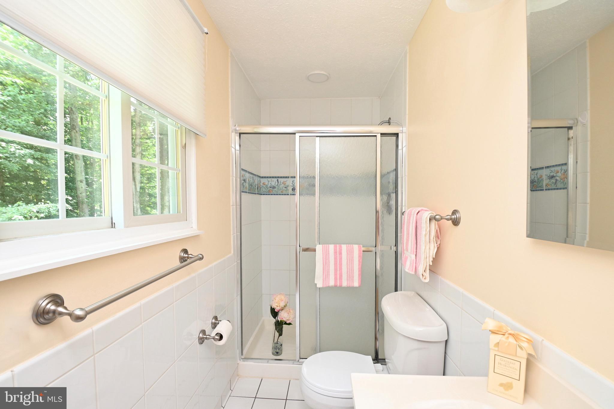 8113 Winter Blue Court Springfield, VA 22153 - Photo 28 of 58 Owner's bath