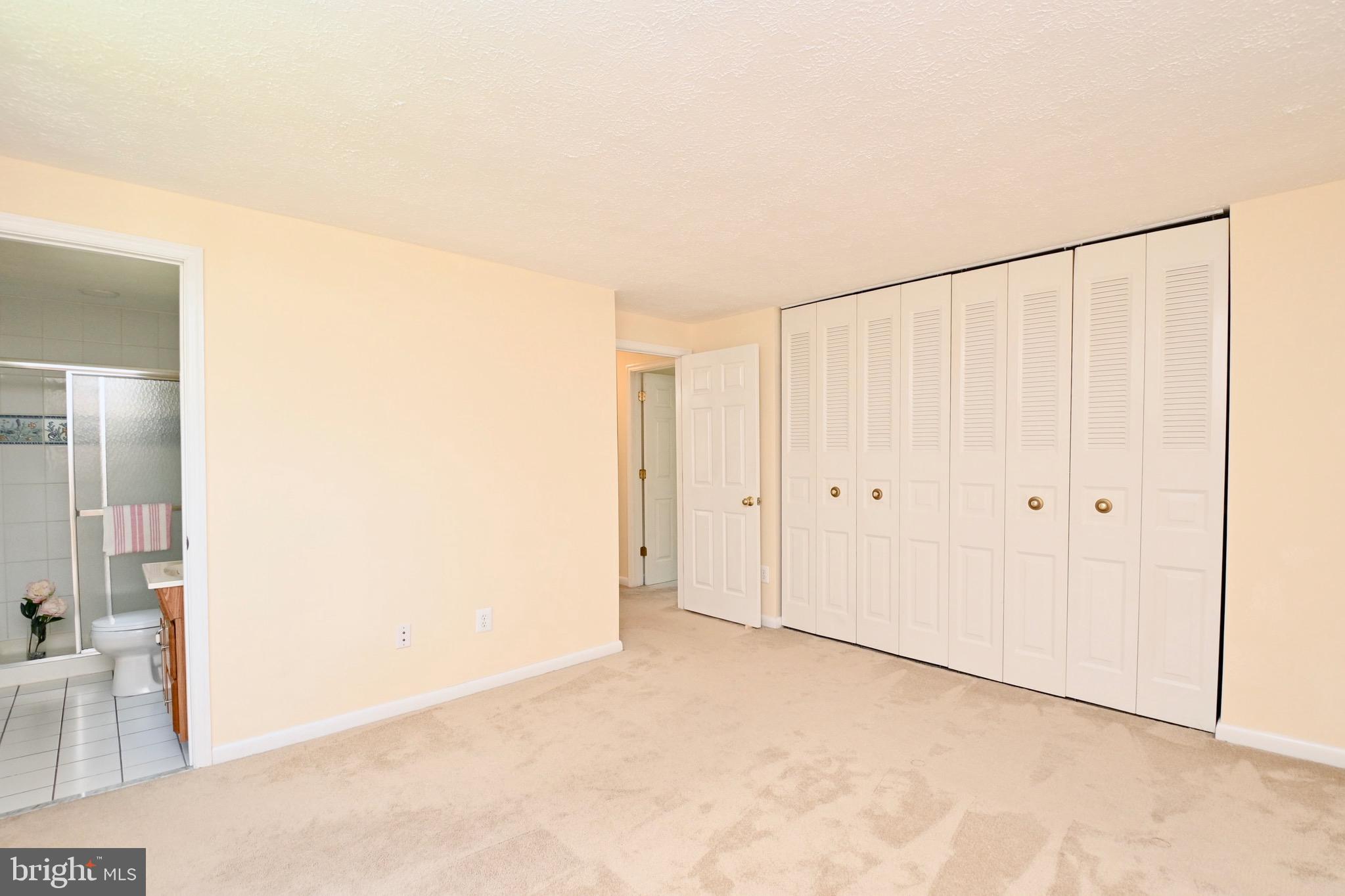 8113 Winter Blue Court Springfield, VA 22153 - Photo 30 of 58 lots of closets in owner's suite