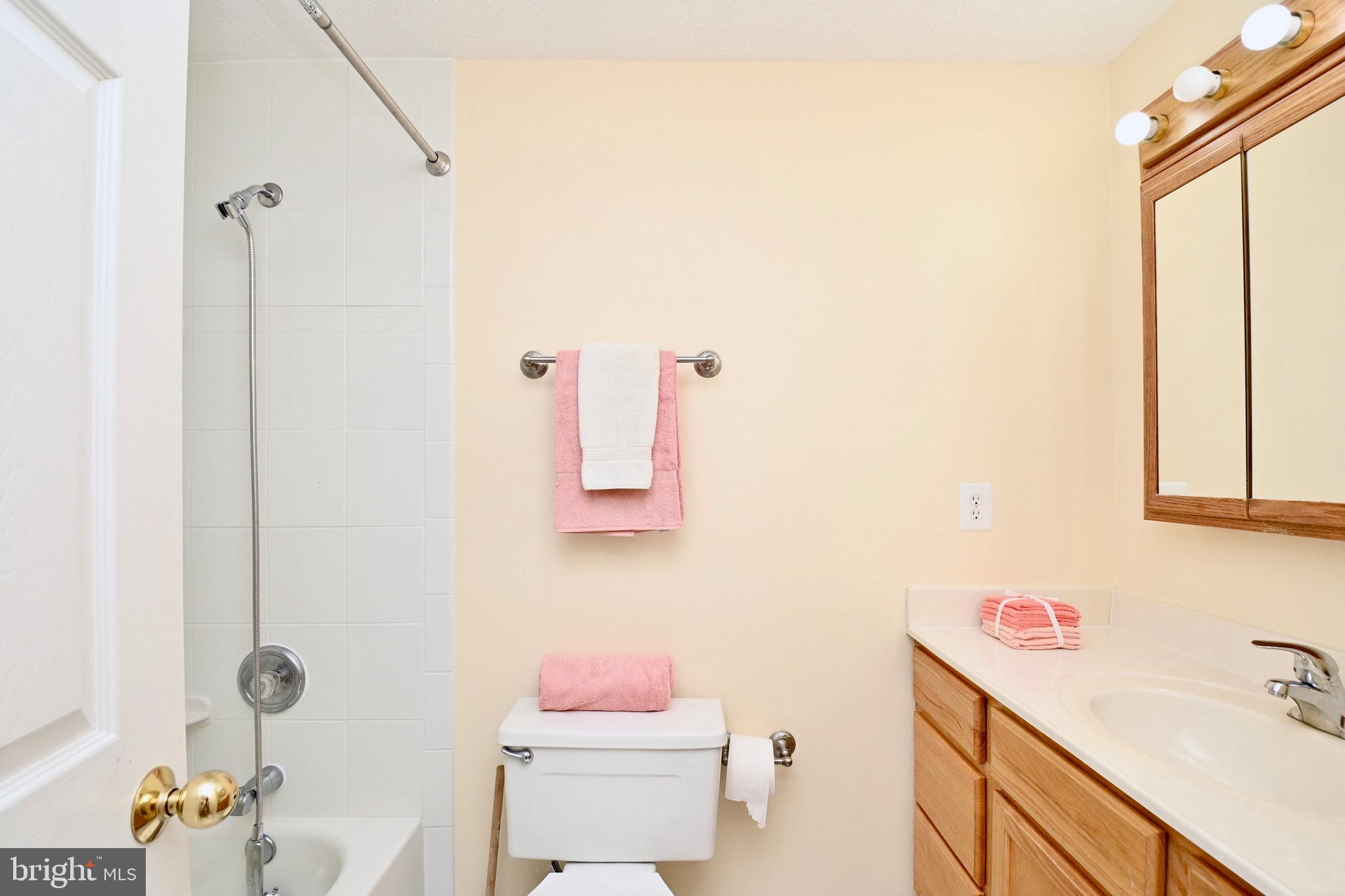 8113 Winter Blue Court Springfield, VA 22153 - Photo 33 of 58 Hall bath