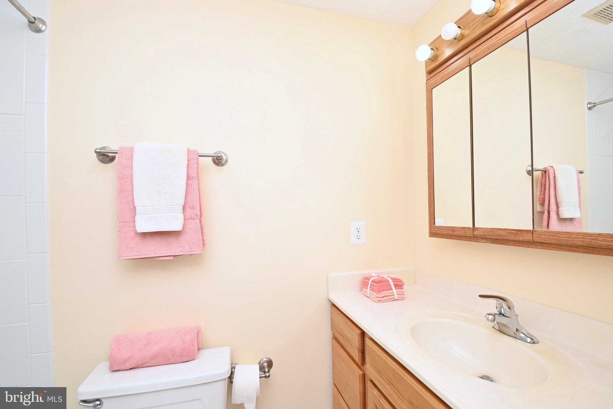 8113 Winter Blue Court Springfield, VA 22153 - Photo 34 of 58 Hall bath