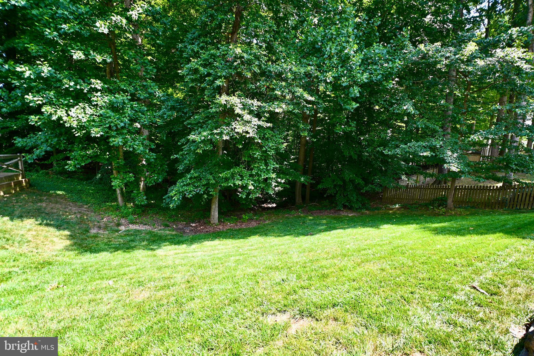 8113 Winter Blue Court Springfield, VA 22153 - Photo 44 of 58 Rear yard backs to treed area