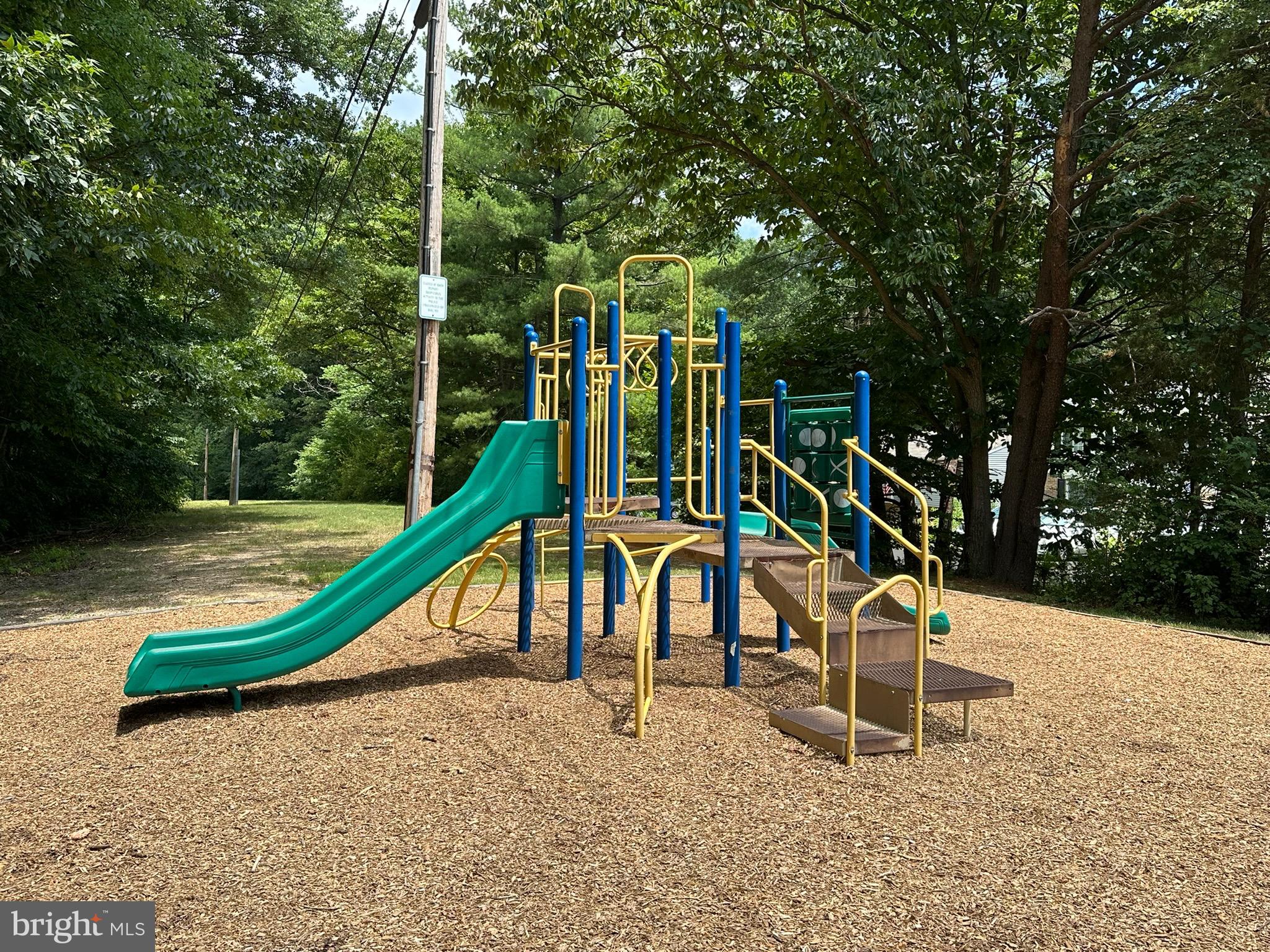 8113 Winter Blue Court Springfield, VA 22153 - Photo 53 of 58 Swings, slides and climbing equipment here