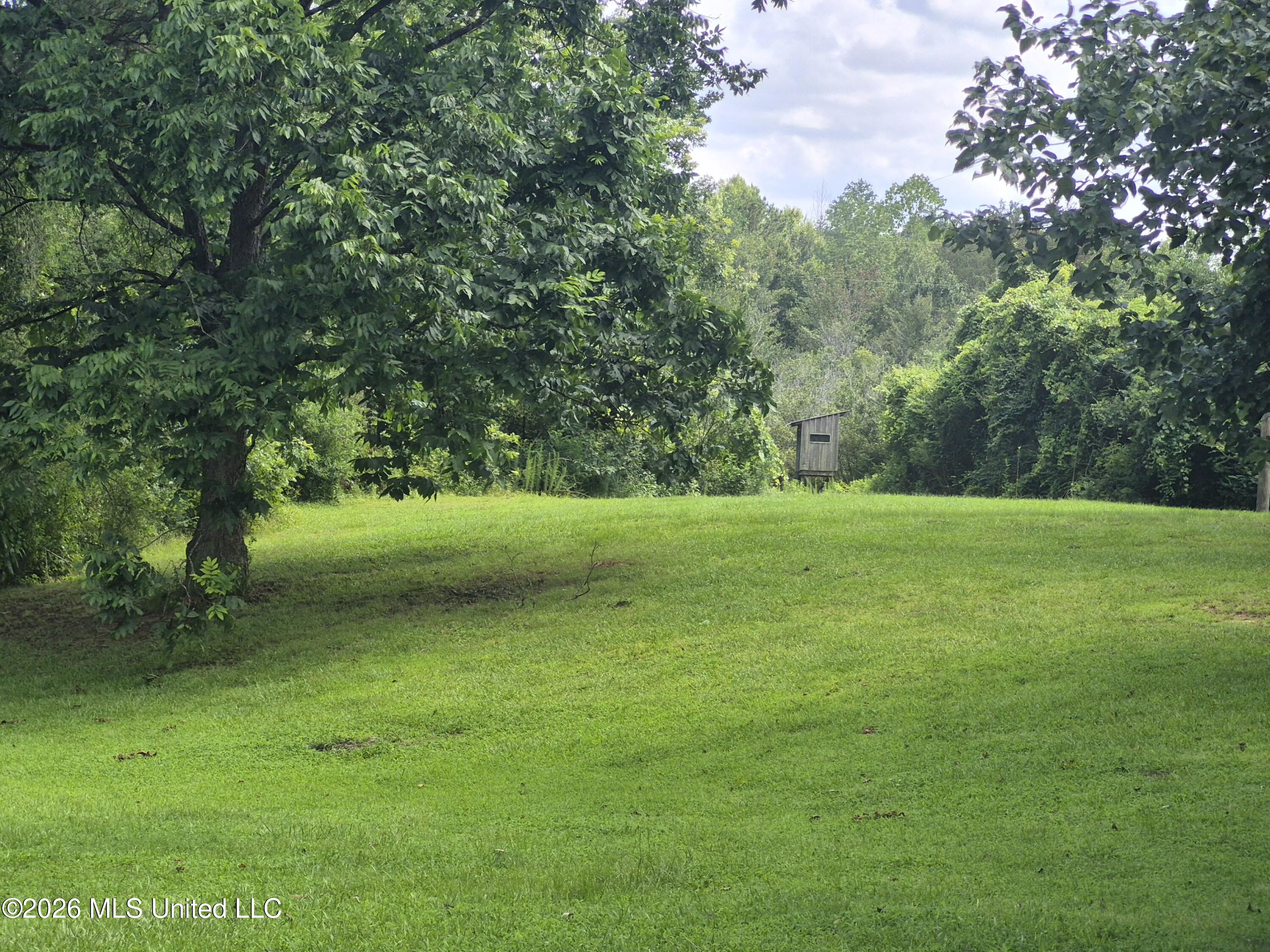1200 Chetwood Road Carthage, MS 39051 - Photo 2 of 19 9364