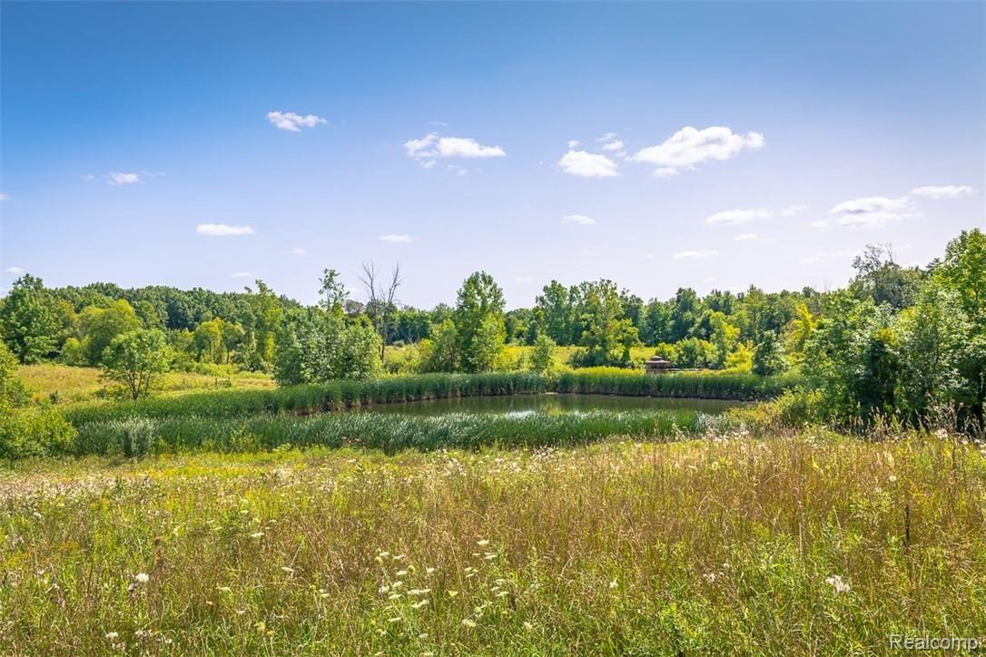 3175 Noble Road Oxford, MI 48370 - Photo 11 of 58 One of two ponds on the property