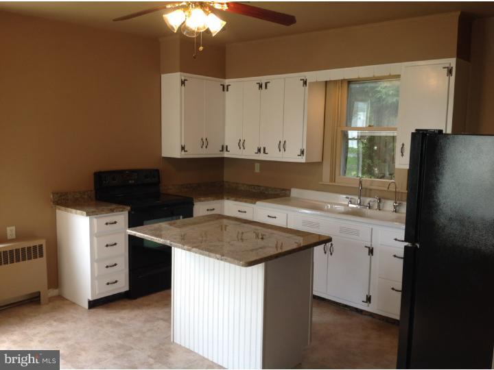 918 Fritztown Road Sinking Spring, PA 19608 - Photo 12 of 23 Kitchen