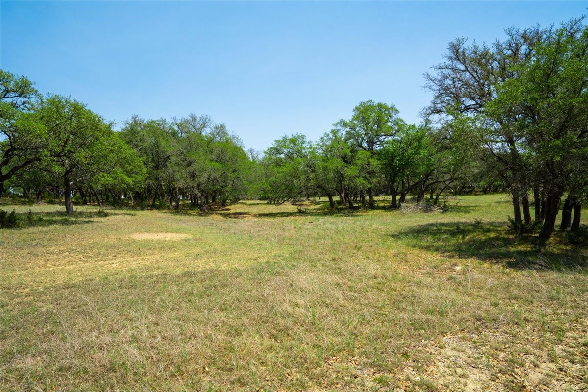 101 Mystic Overlook Road Dripping Springs, TX 78620 - Photo 22 of 27