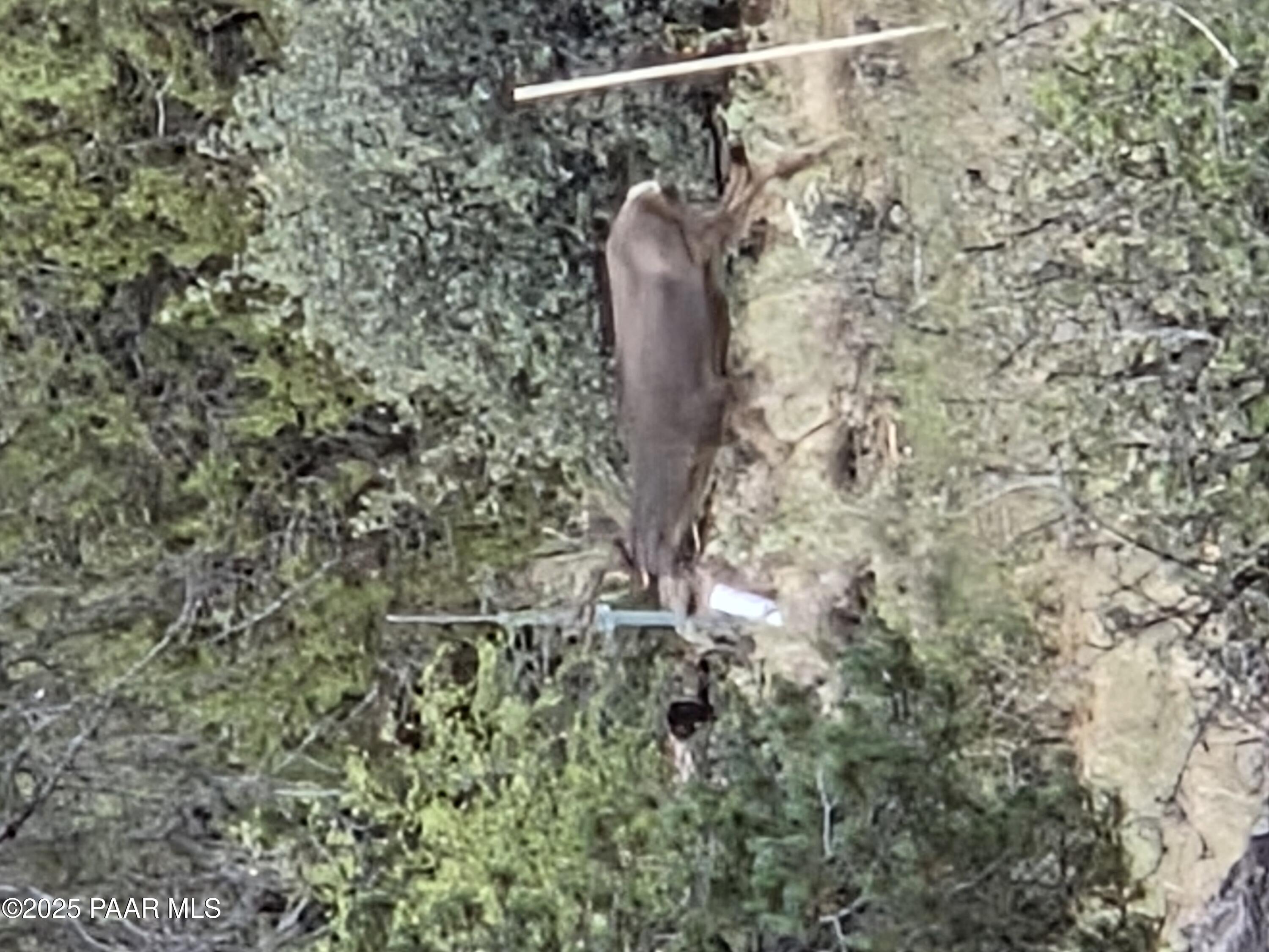 7250 West Hootenanny Road Prescott, AZ 86305 - Photo 27 of 30 a map view of location