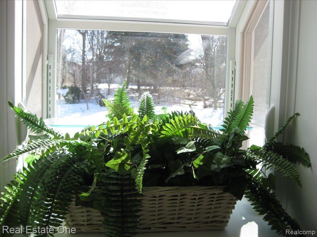 4584 Covered Bridge Road Bloomfield Hills, MI 48302 - Photo 19 of 21 Garden Kitchen window