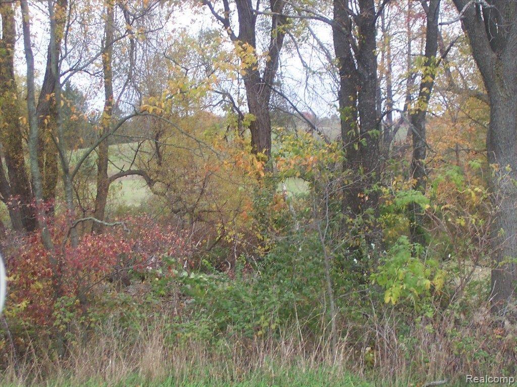 55 Iosco Ridge Gregory, MI 48137 - Photo 1 of 1