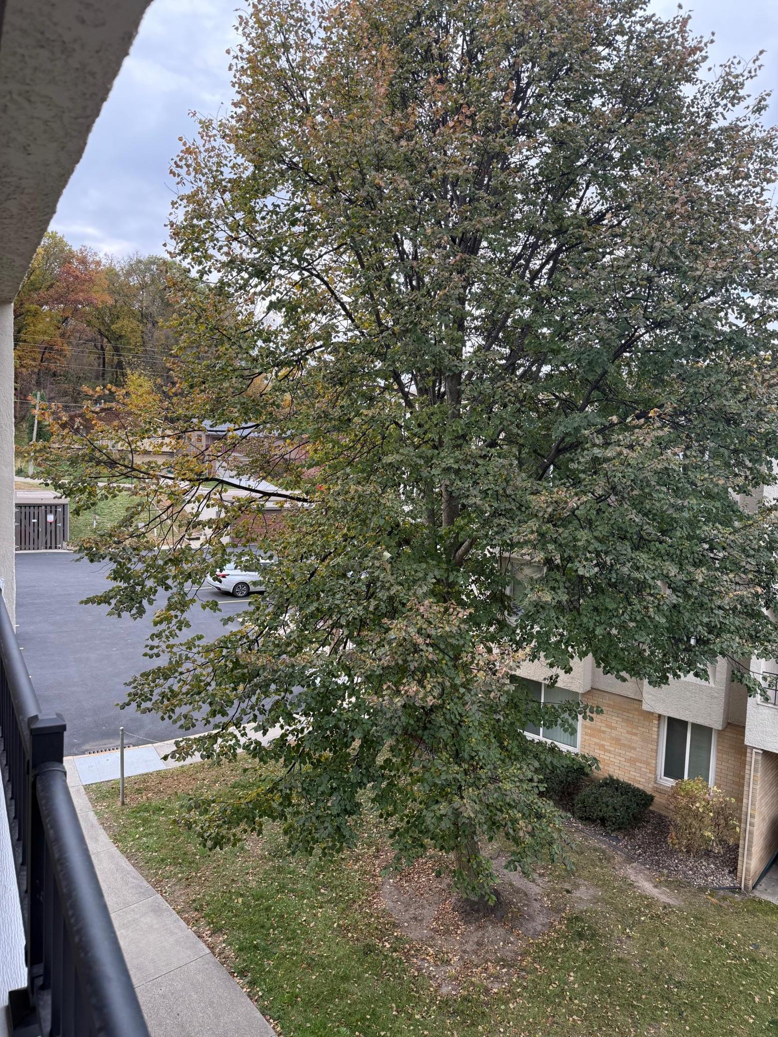 1911 Viking Drive Northwest, Unit 32 Rochester, MN 55901 - Photo 17 of 29